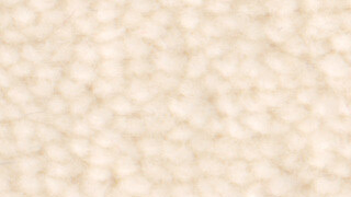 Flauschiger Teppich Fink Pure Wool