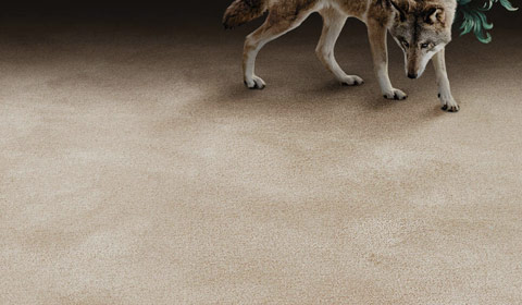 Teppich Teppichboden Object Carpet Pure Wool reine Schurwolle beige